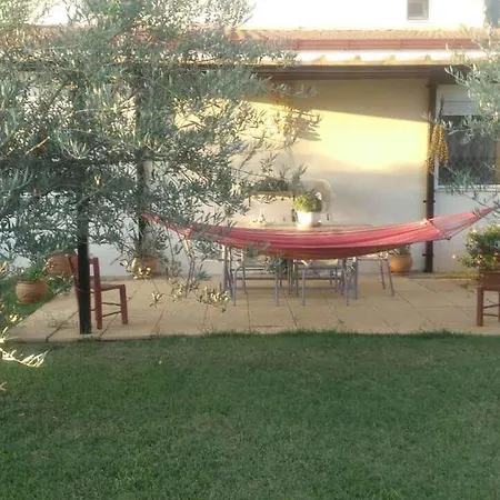Relaxing Near The Sea *